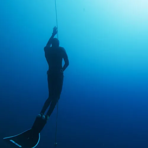FreeDiving 2