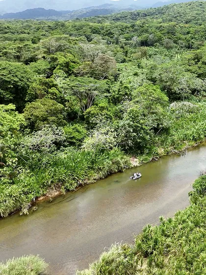 Jungle Expedition