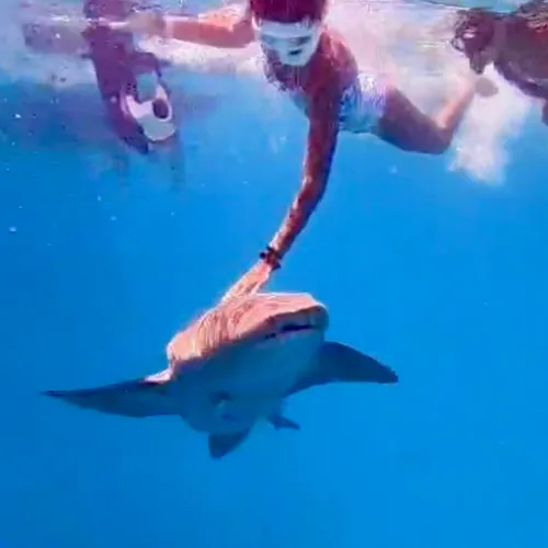 Swimming & Snorkeling 2