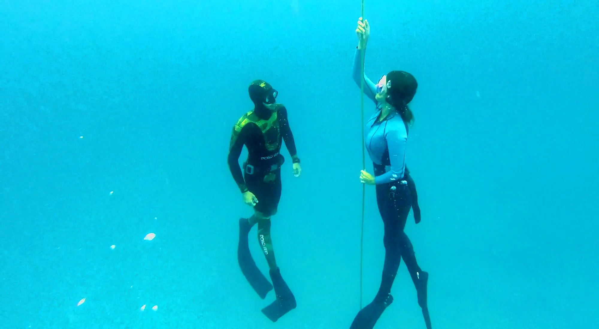 Freediving — Ikigai Sailing