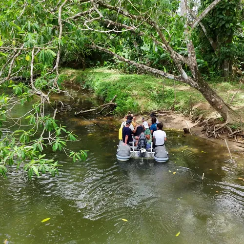 Jungle Expedition 4