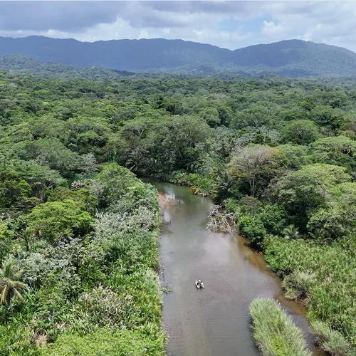 Jungle Expedition 1