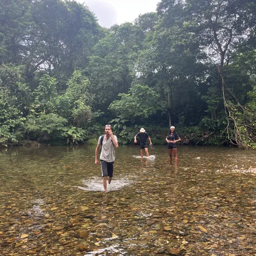 Jungle Expedition 8