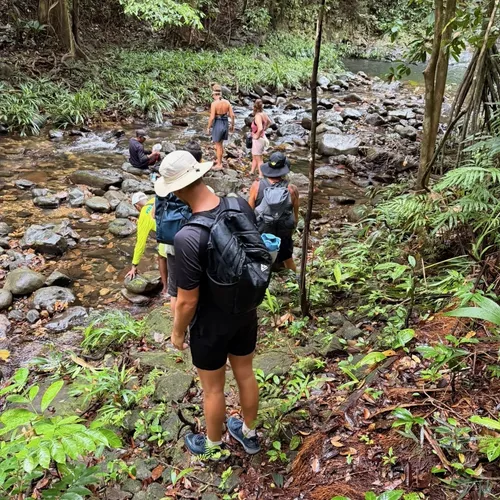 Jungle Expedition 9