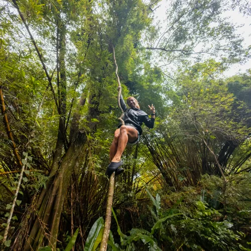 Jungle Trekking 1